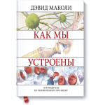 Как мы устроены